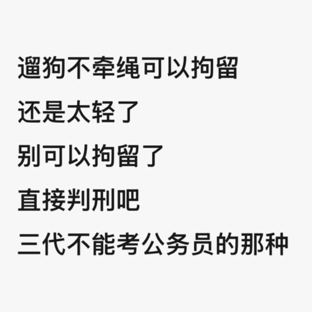 遛狗不牵绳可以拘留，还是太轻了