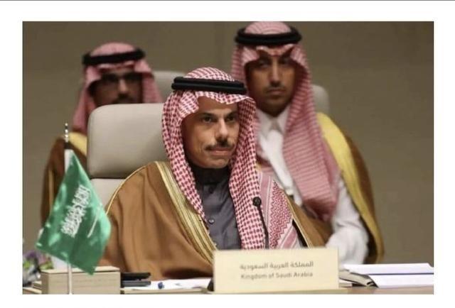 沙特要是真的直接下场，就应验那句著名的阿拉伯谚语了，“不要发怒，因为你一发怒，就