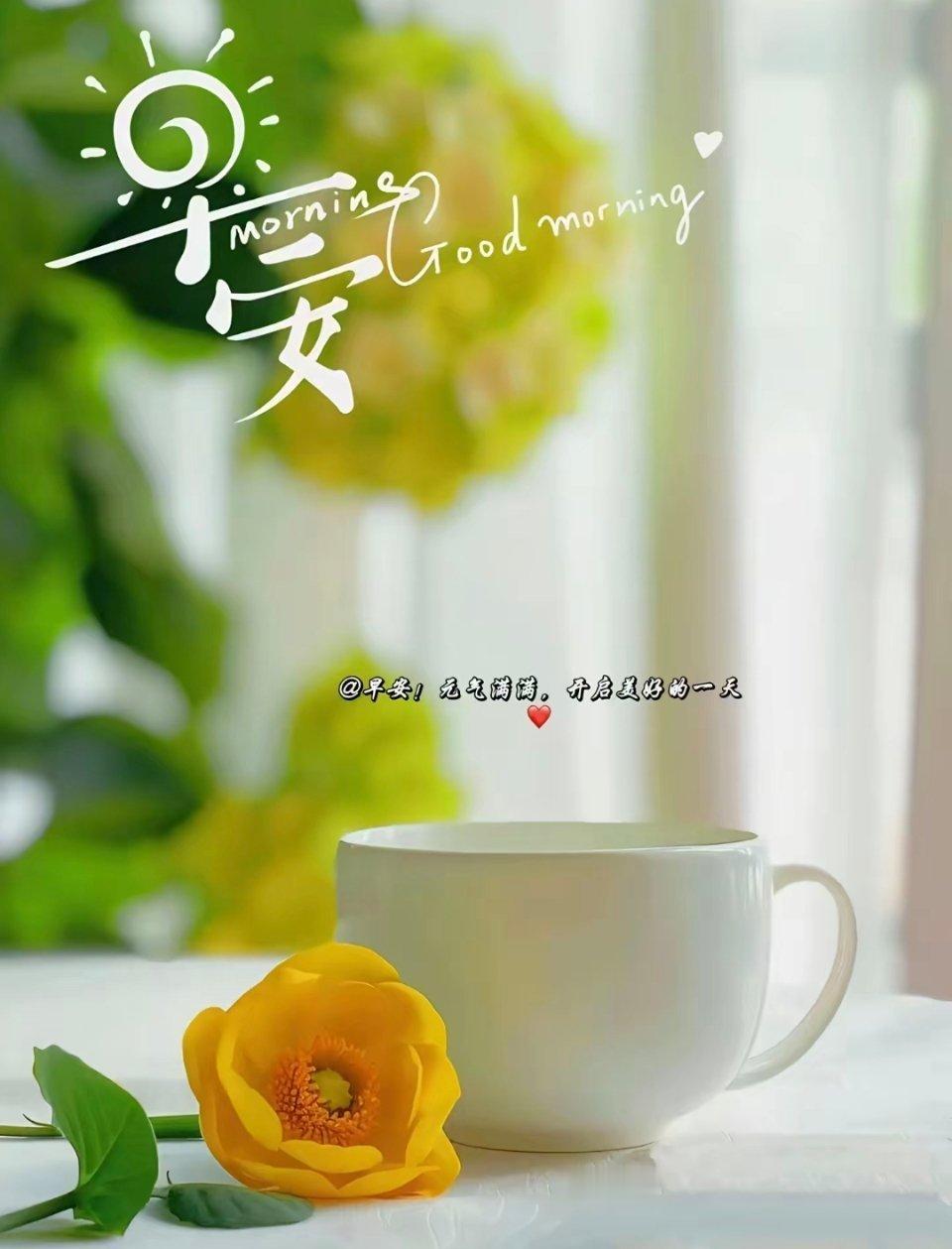 早安清晨第一缕风捎来好运愿你今日所求皆得偿，所念皆成真，被「好运连连」的惊喜温柔