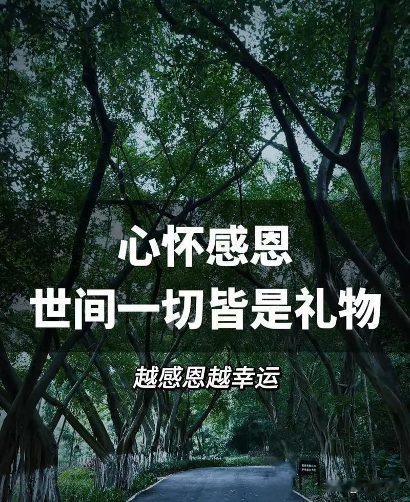 人越懂感恩，命就越好人这一生，幸福与否，归根结底，拼的是心态，靠的是感恩。