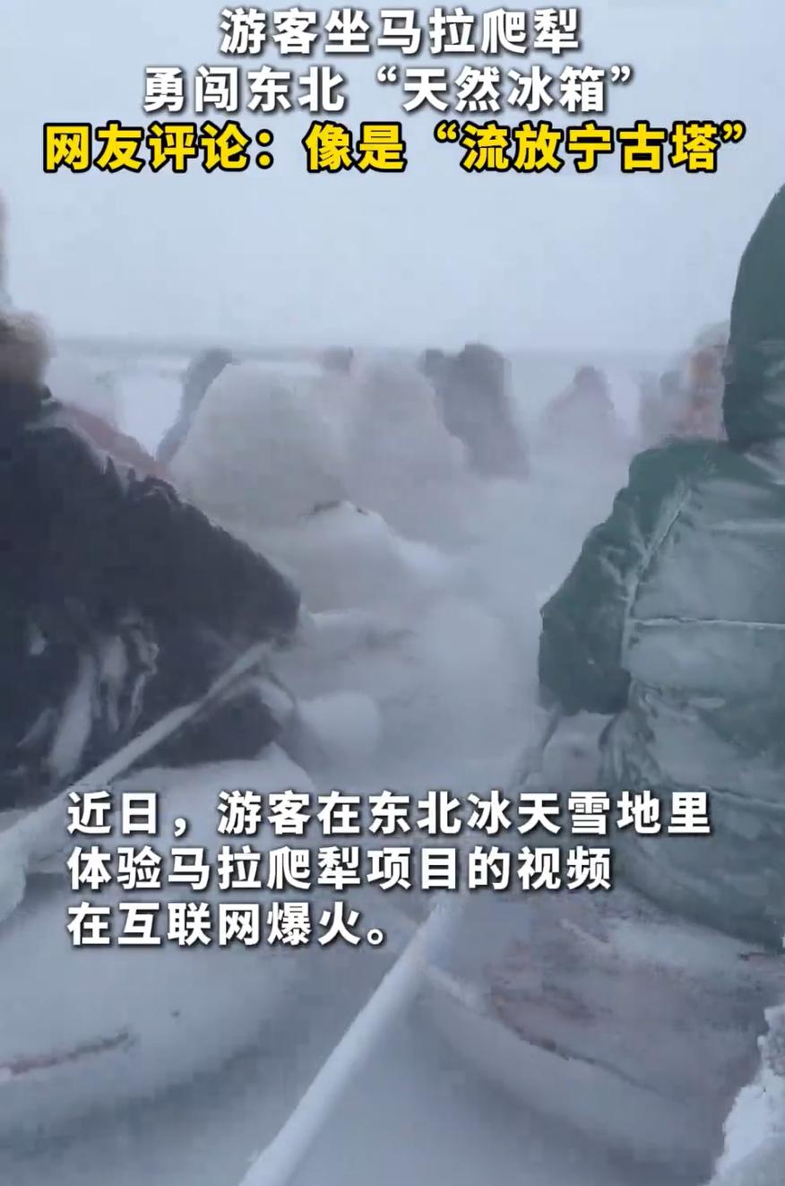 笑死了！一位南方女生去东北旅游，冰天雪地在景区花钱体验了一把马拉爬犁，结果视频发