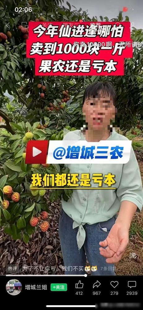 广州增城的一个果农博主向网友大吐苦水，说她们种仙进奉荔枝的不容易。我身边有做