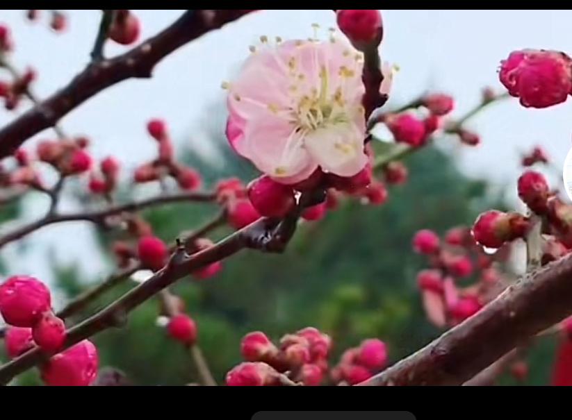 财政部新政来袭！房子增值税松绑，对房屋交易市场会带来哪些影响？昨天，财政部传