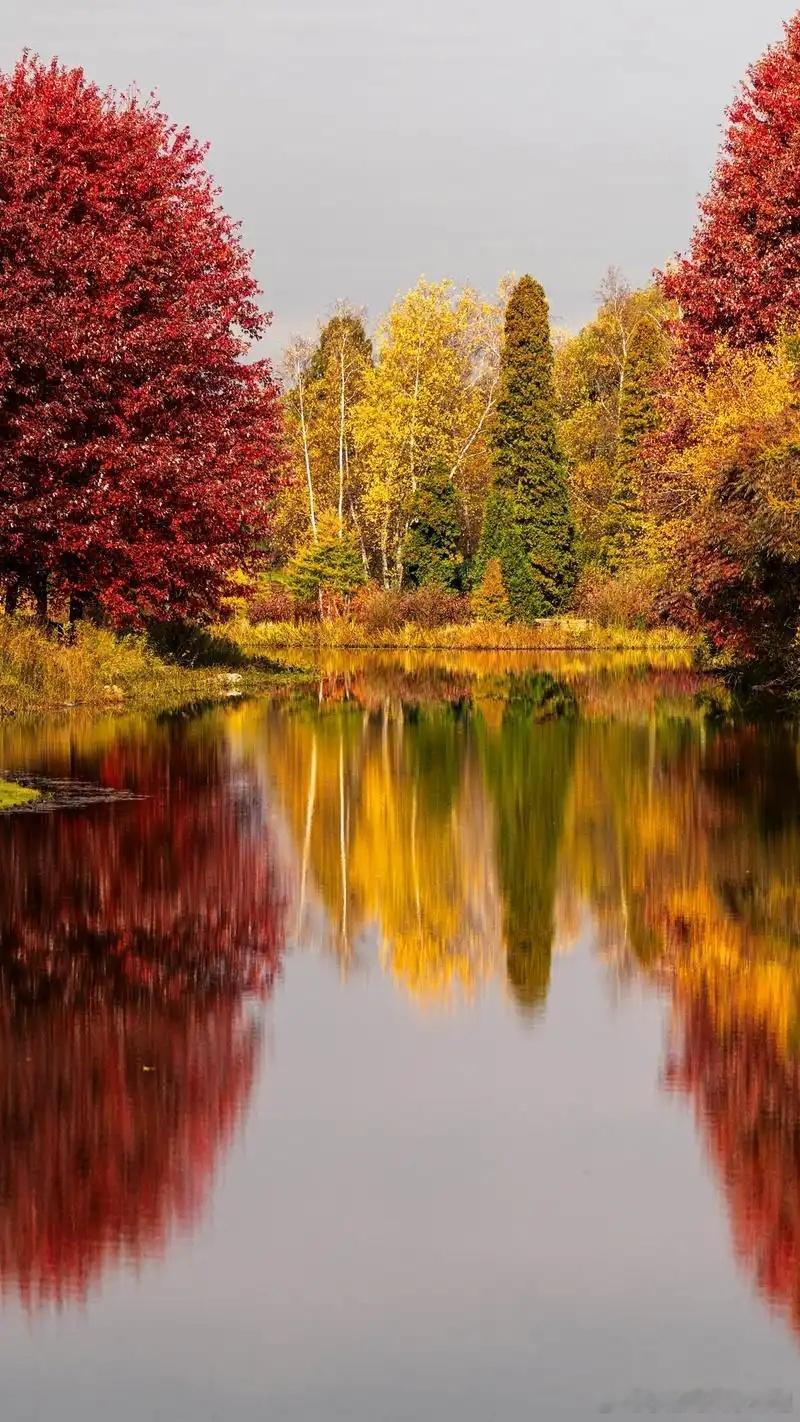 生肖蛇称心如意，喜上眉梢整体：7日大雪节气后，将步入“食神坐官”之吉运，才艺容易