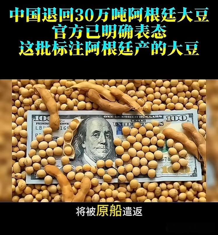 中国海关真给力，宣布退回阿根廷30万吨大豆！很多人奇怪为什么中国海关会退回阿根