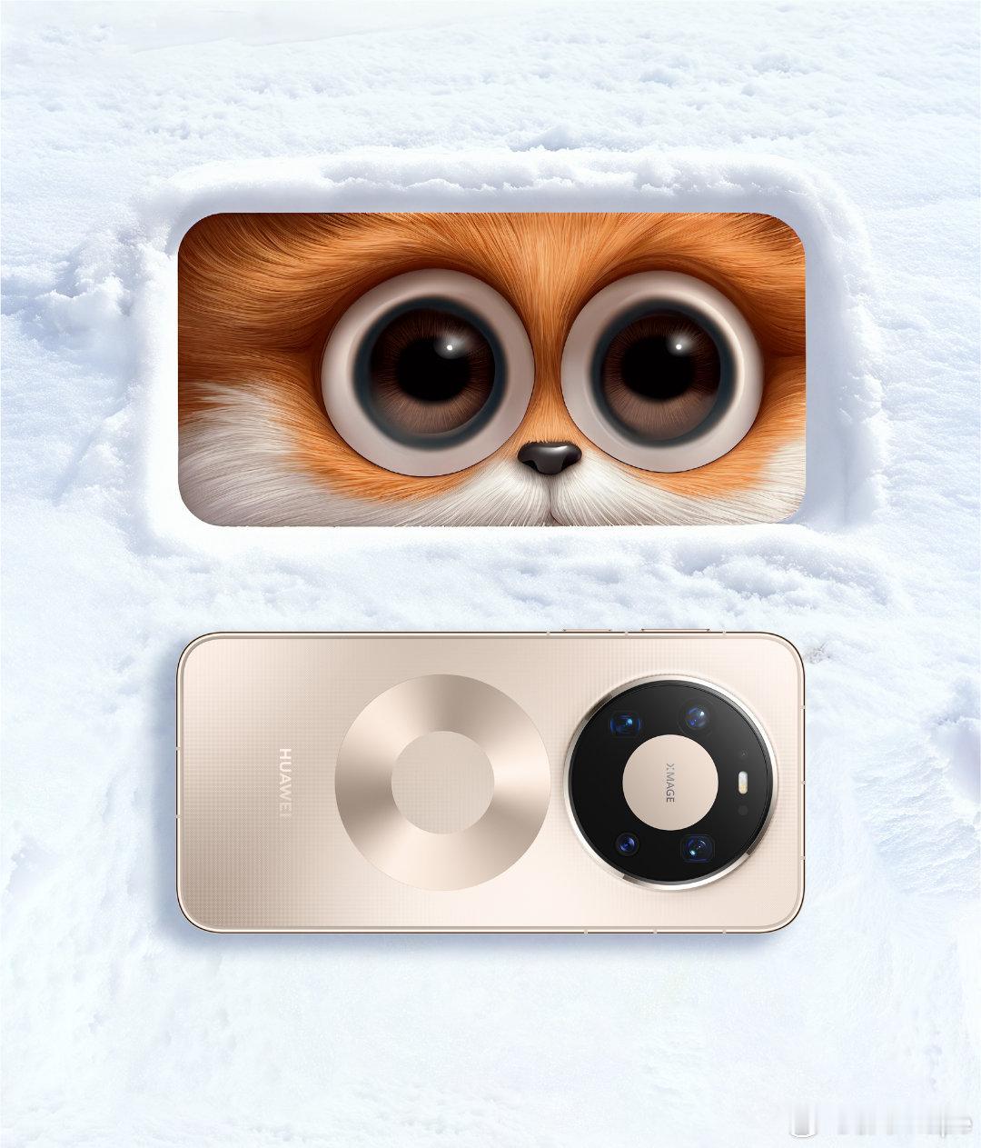 大家要不要冲？这外观设计打几分？满分💯的情况下话