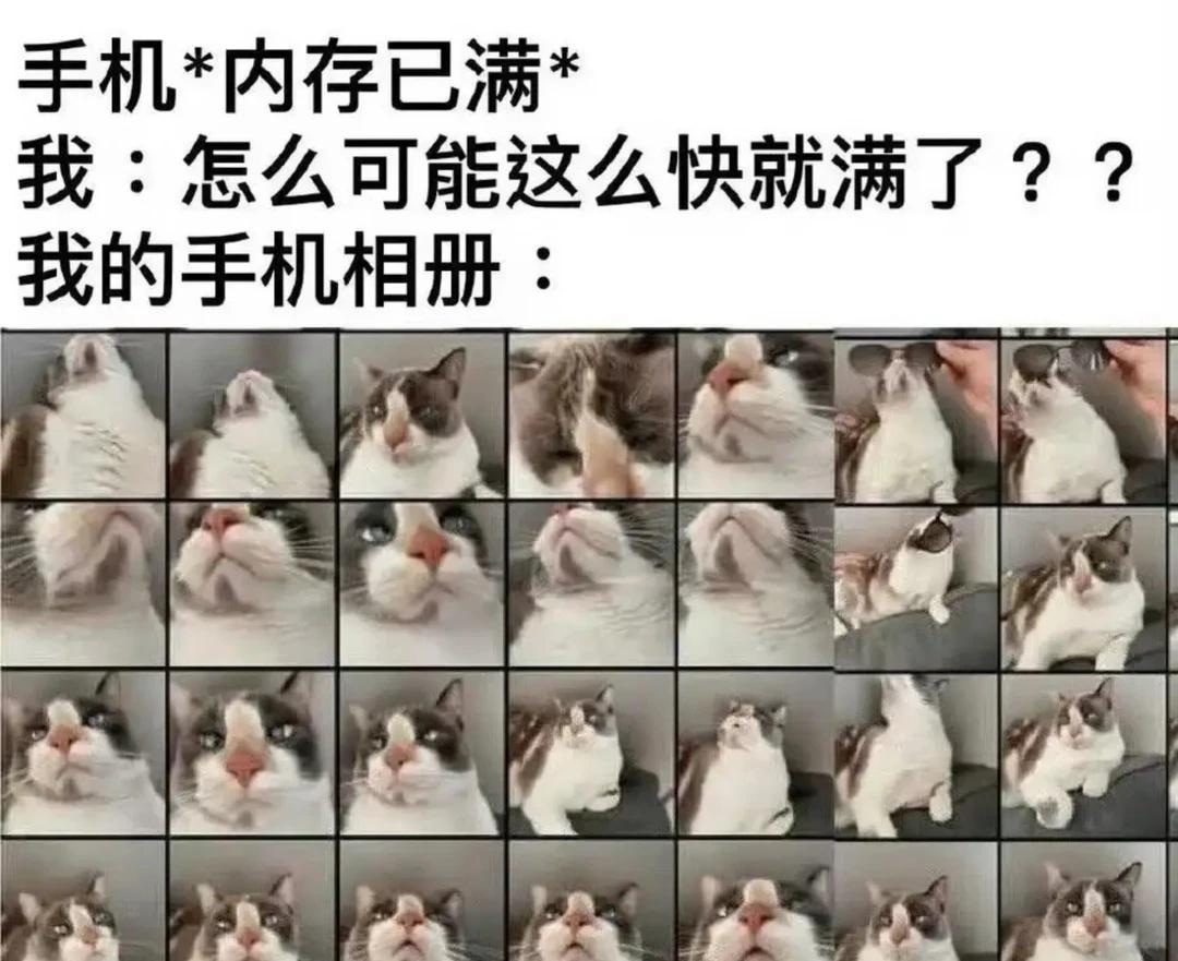 猫猫meme咪咪咪咪咪咪咪咪咪莫名其妙击中笑点我这狗屎般的笑点抽象meme
