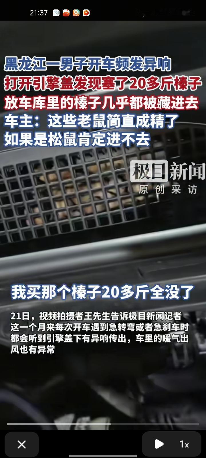 11月20日，鸡西密山市。王先生的SUV越野车频发异响，打开引擎盖竟发现20多斤