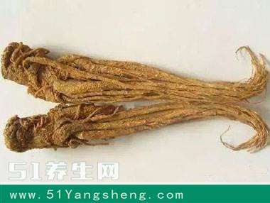 吃当归有什么好处? 当归泡水喝的功效与禁忌