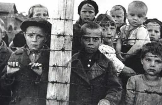 1944年，一个叫斯内德的纳粹士兵奉命枪杀一个5岁女孩，被女孩的母亲追杀了几十年