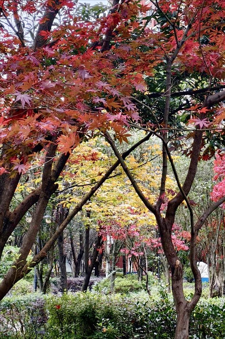 今天跟一个28岁的男人聊完，我心里堵得慌，又莫名被戳得发烫，算是彻底破防了。2
