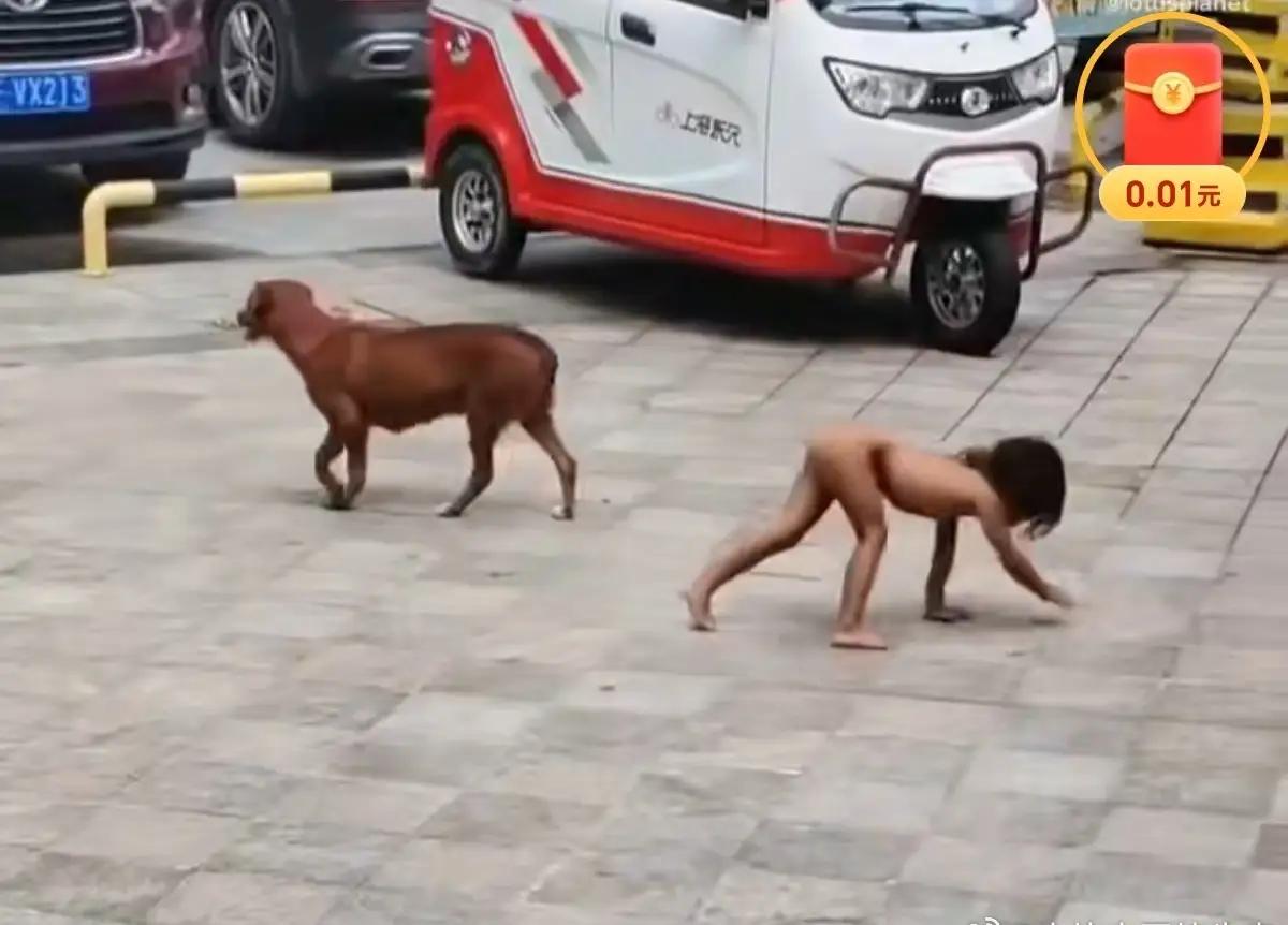 小孩趴着，父母可能改不了教育方式了，因为必须要面对一个现实，那就是孩子的未