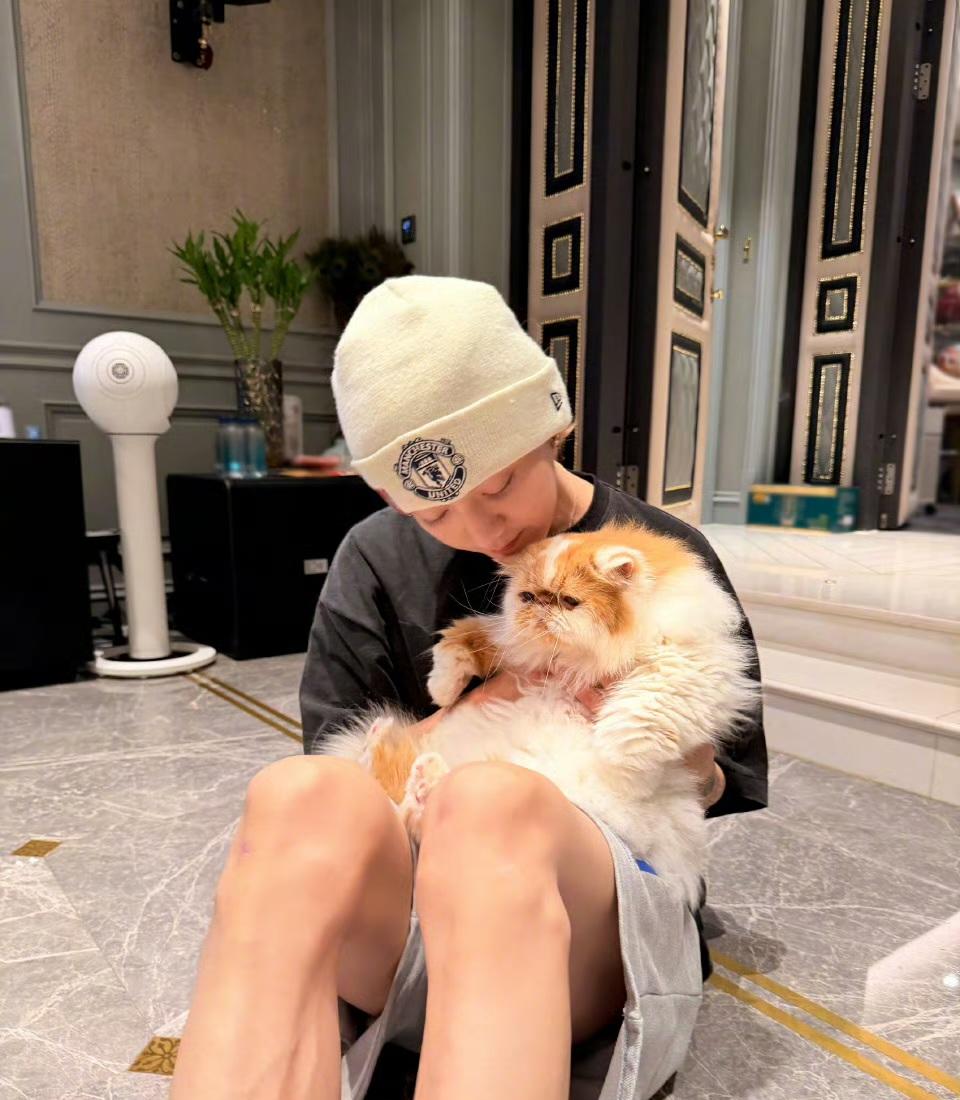 鹿晗的猫狗也太可爱了！他的猫狗都长得呆萌呆萌的，看上去好可爱，尤其狗狗的那个