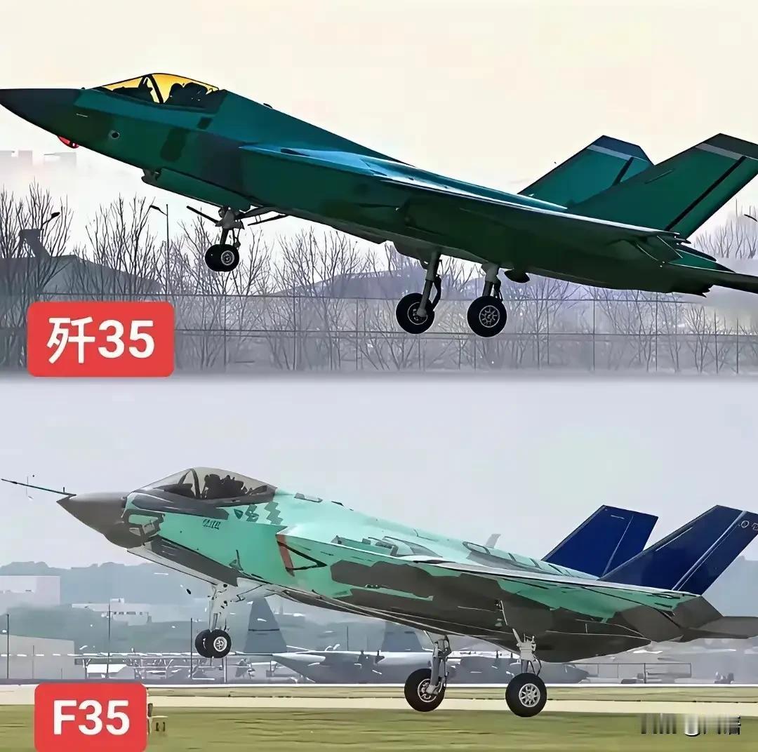 F135一台发动机的体积比两台涡扇19还大近30%，F35这样的设计不可取。据