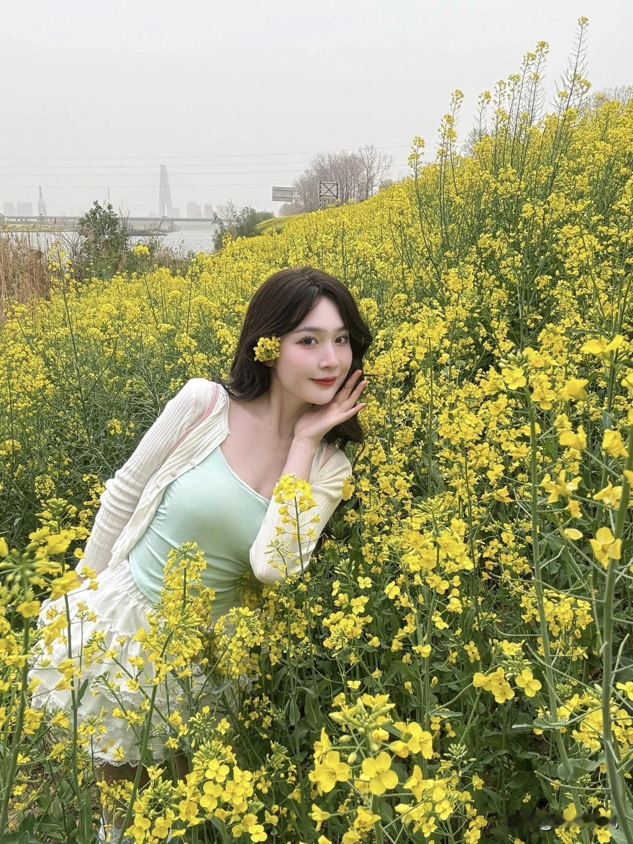 春天一到，油菜花开得正盛，金黄一片特别适合拍照。前两天路过一片花田，看到好多小姐
