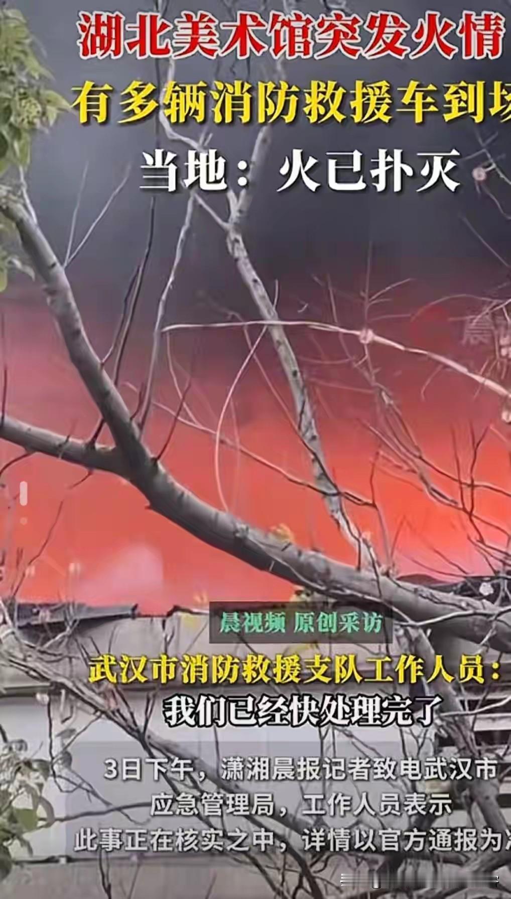 彻底赌输了！南博事件发生后，有一个朋友对我说，半个月内必有博物馆、美术馆起火，敢