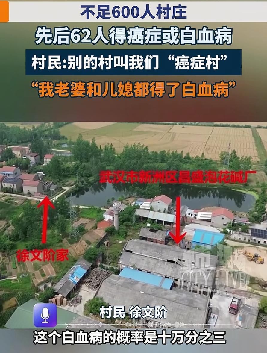 湖北那个癌症村，我发现一个最扎心的事。不是62人得了癌，是有的人家连死都
