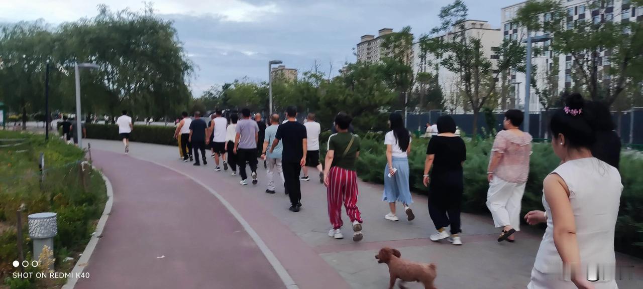 恒安公园的健步队带着音乐，走起来很拉风，我也加入其中。领队的女士不紧不慢