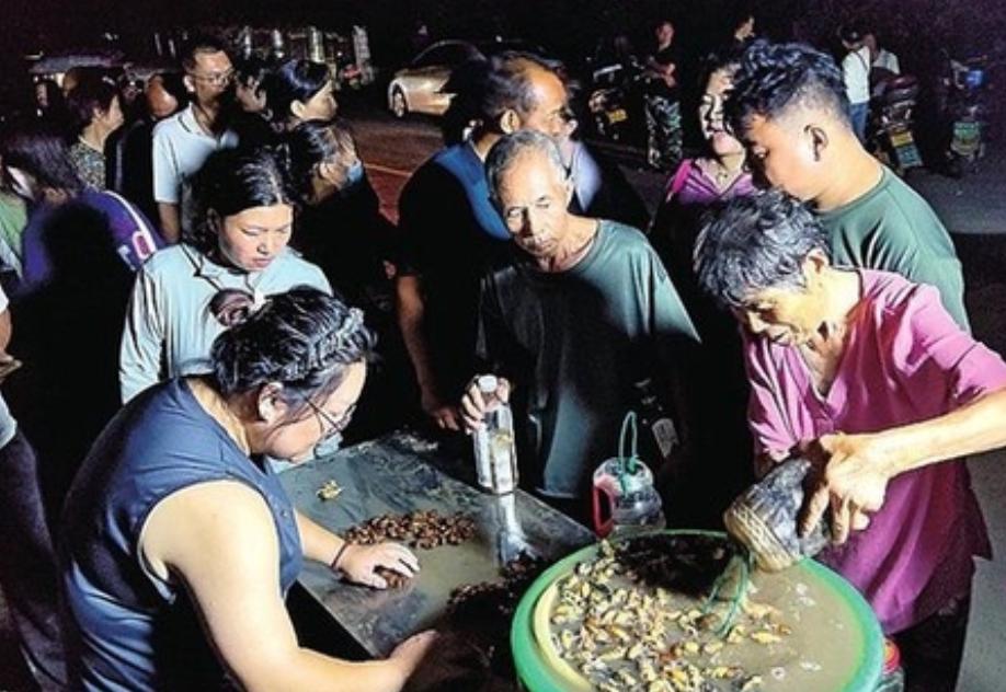"太能挣钱了!"郑州一位73岁大爷，一到晚上不遛弯，不睡觉，竟一头扎进树林花3