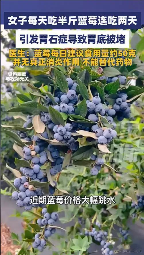 女子连吃两天蓝莓半斤/天，胃被堵死！别让“平价自由”变成身体陷阱“悲剧还是