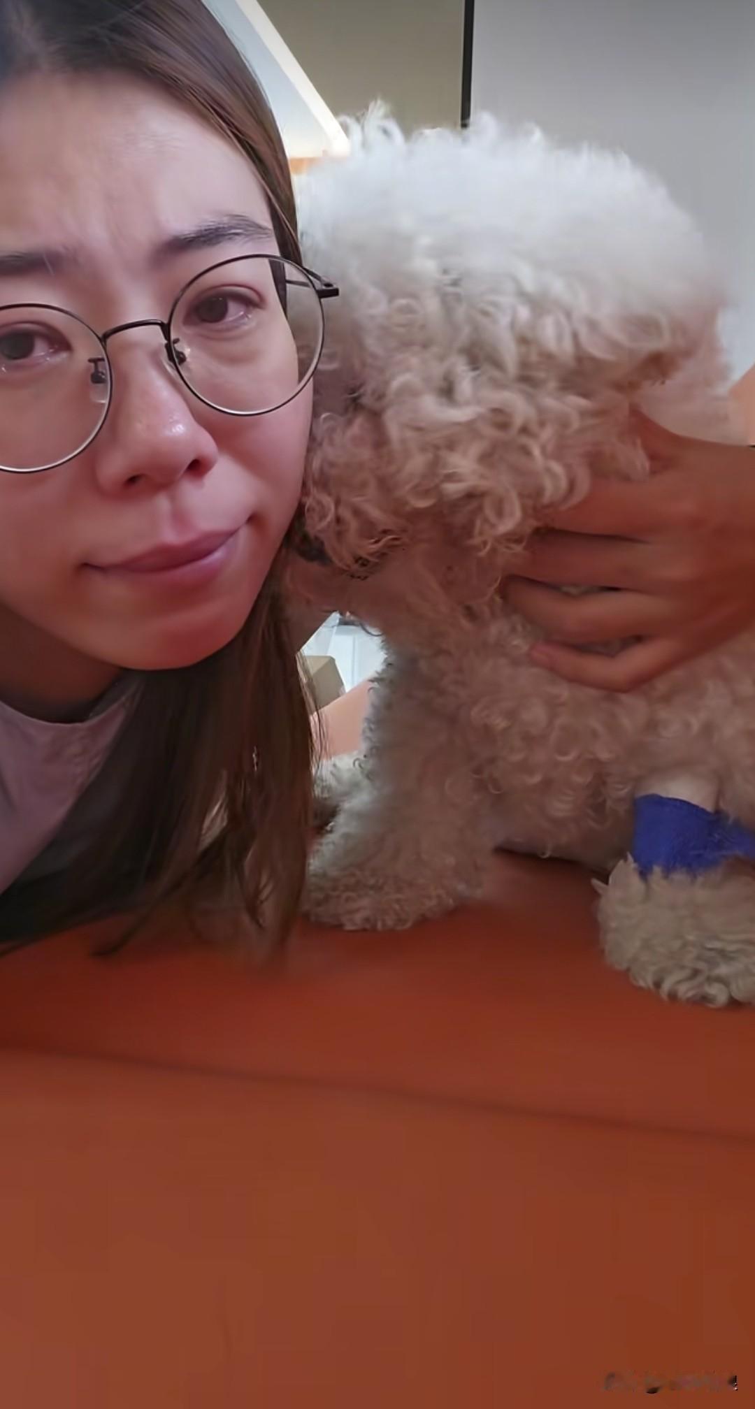 刚给家里的泰迪过完十五岁生日，它就突发急症，我抱着它匆匆赶到宠物医院，医生确诊是