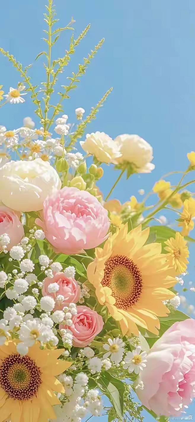 把夏天的浪漫，都藏进这些花里了～寻美河南
