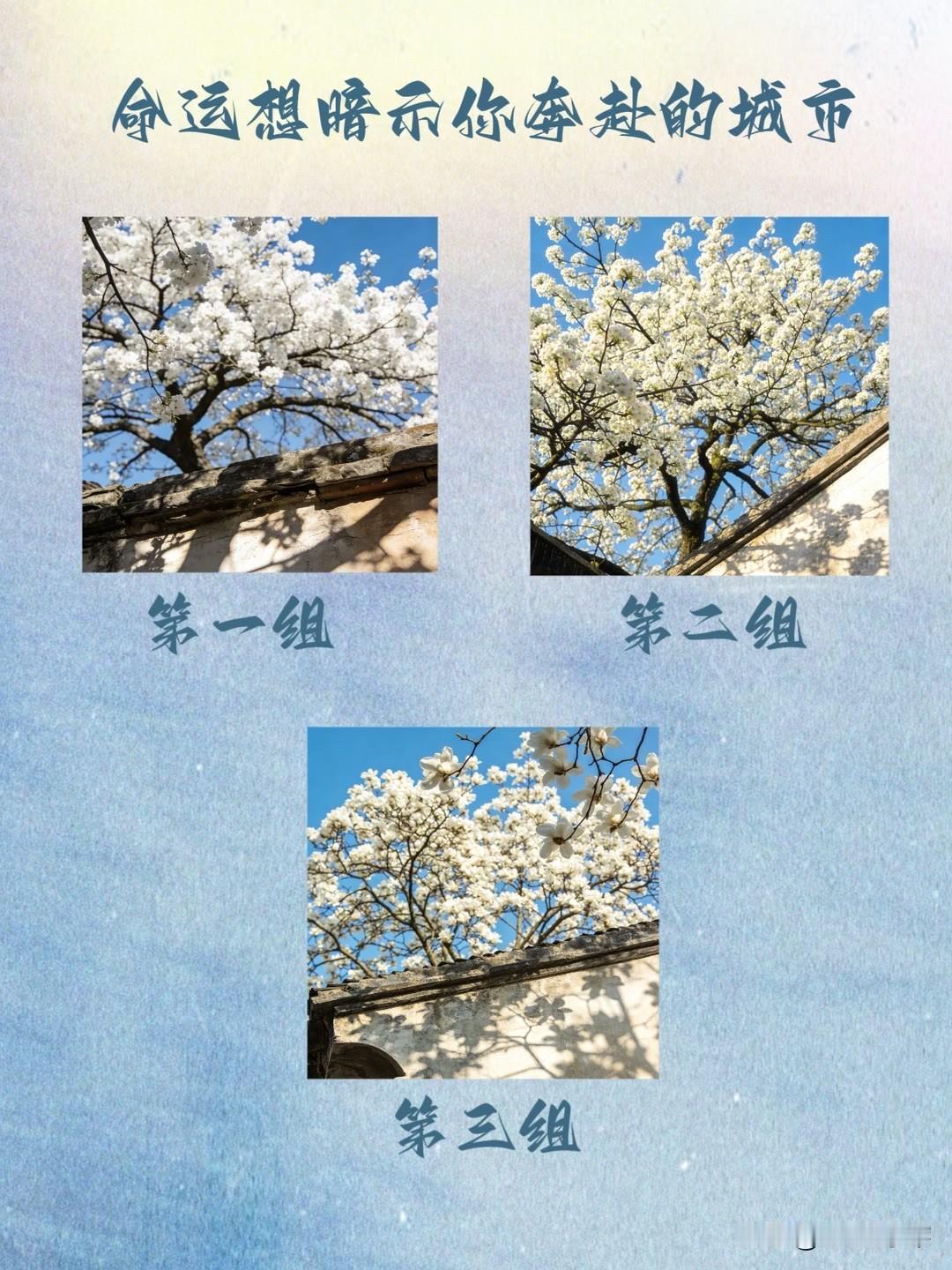 你问我答命运想暗示你奔赴的城市