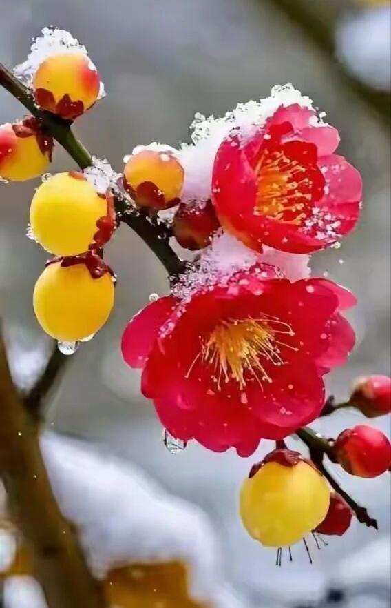 善良,是天性,还是后天的教养?善良：天性为基，教养铸魂善良，究竟是根植于人类