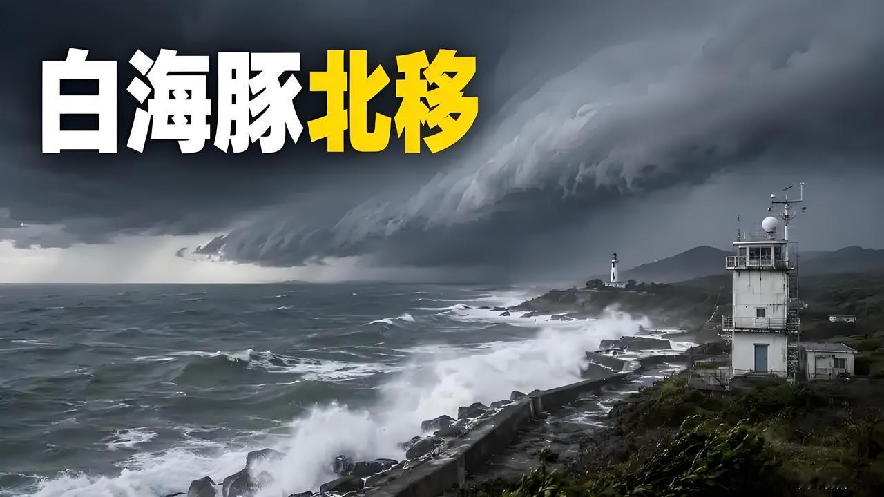 台风“白海豚”影响苏北、鲁南的时间？重要前提：台风本体不会