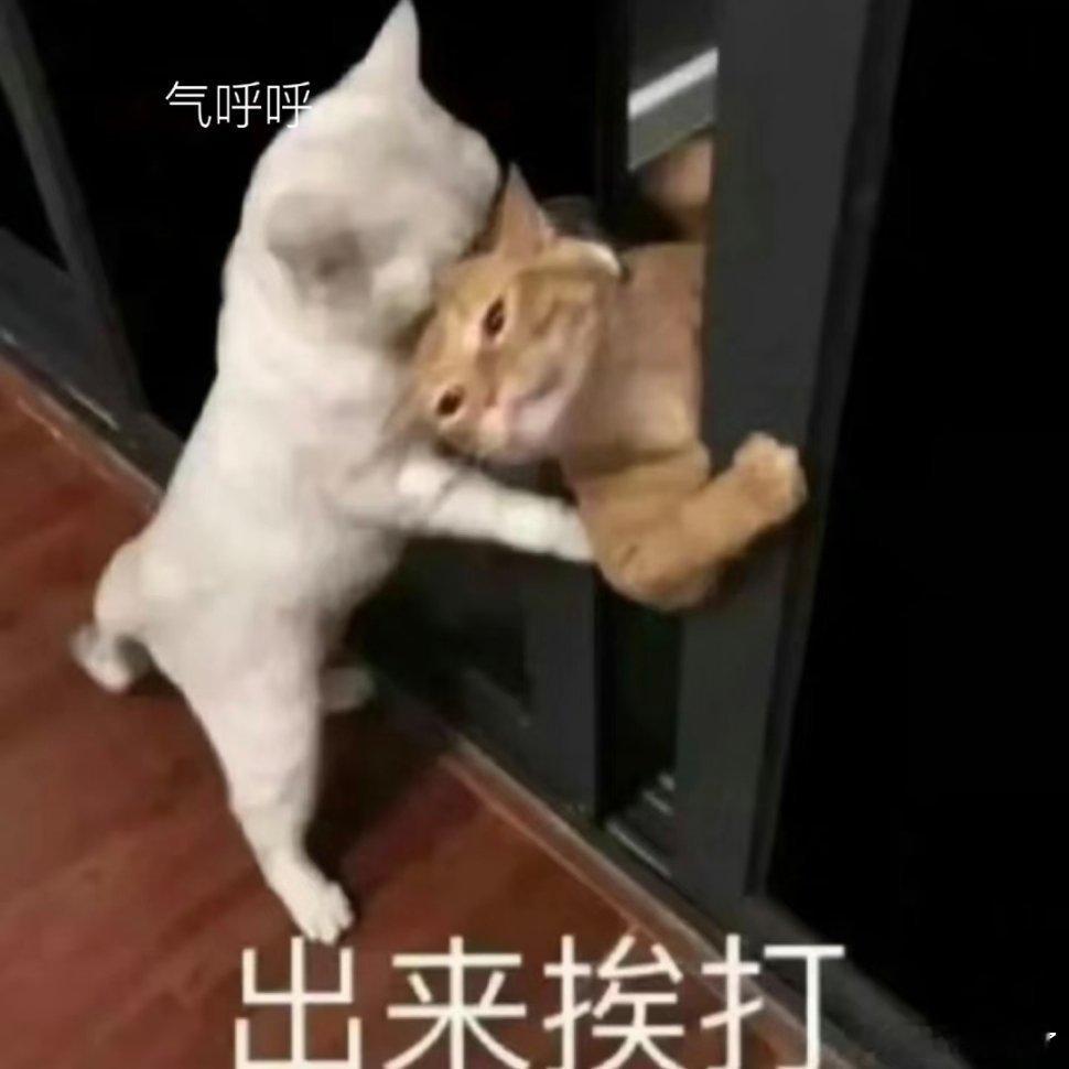 我是不会放弃收集这种表情包的！动漫点评团次元新星计划