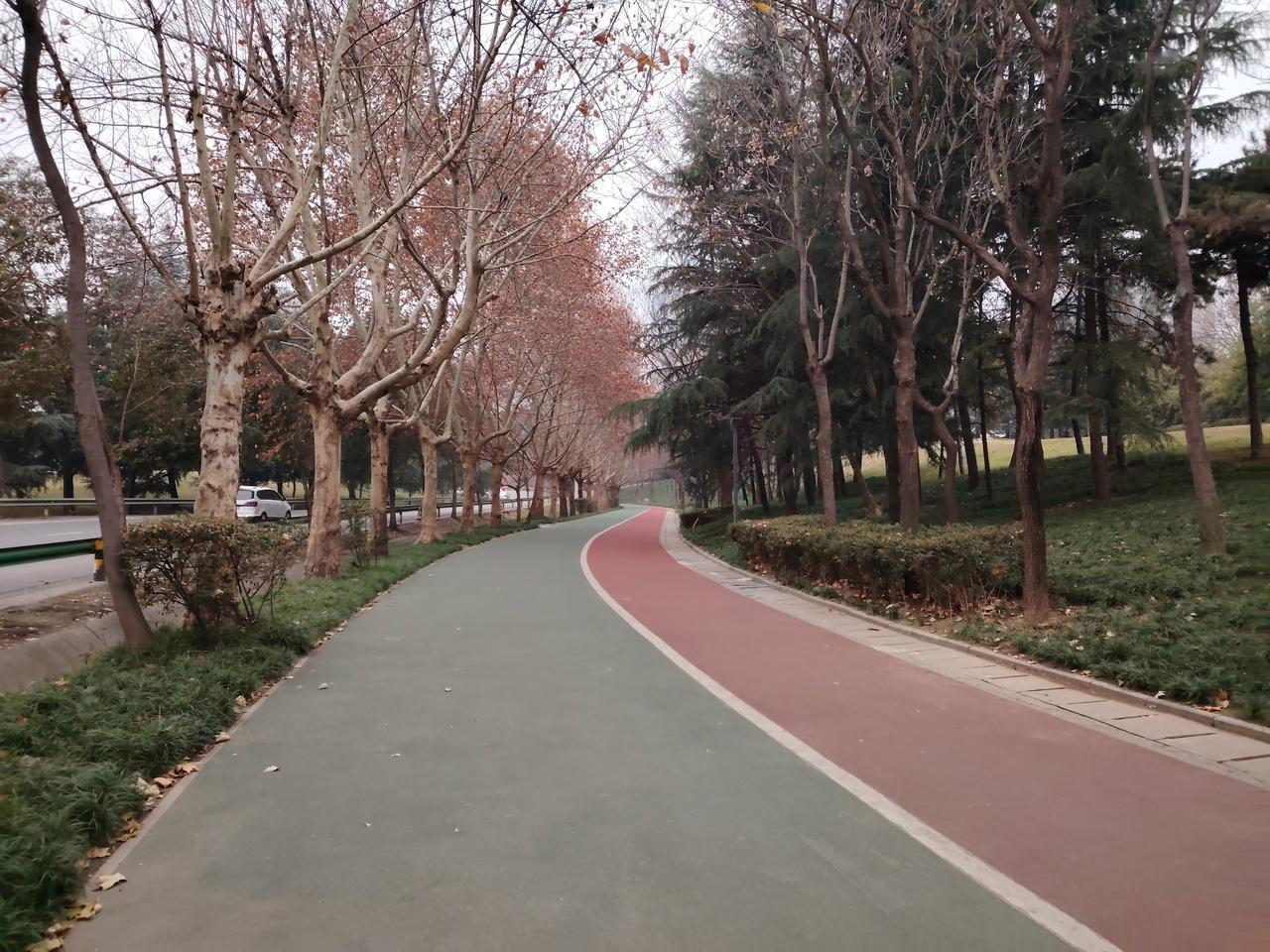 退休之后，我才真切地体会到，学校宛如一座围城，外面的人渴望进去，里面的人却一心想