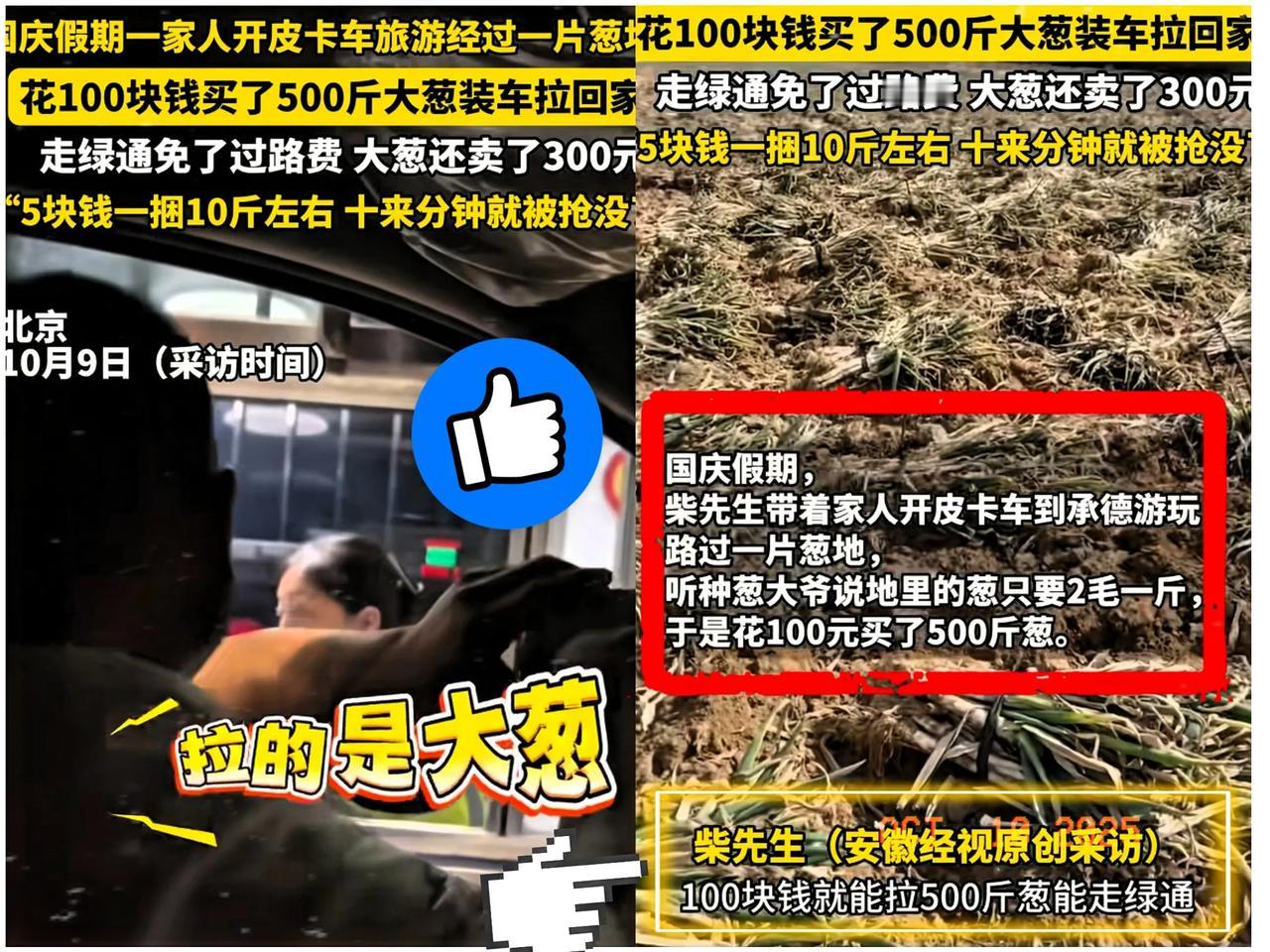 赚大发了！”北京一男子开皮卡车带家人到承德游玩，路过一片葱地，得知只要2毛1斤后