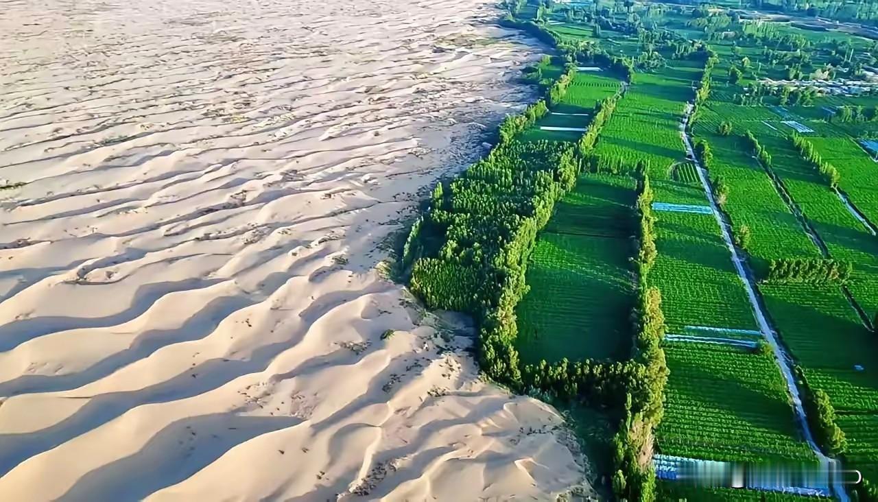 外媒集体点赞：中国这个绿洲为啥这么香朋友们，最近我刷到好多外国网友的评论，