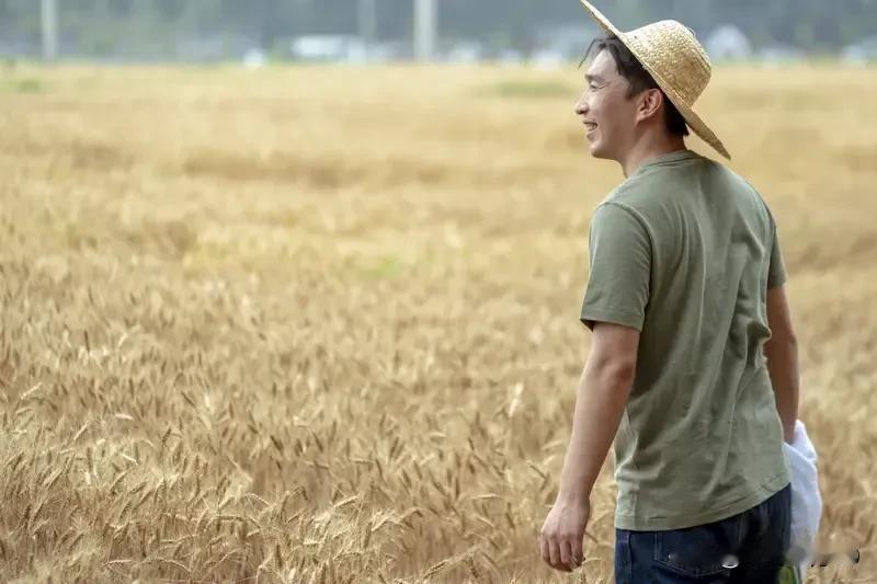 养老金对农民来说才是真正的“锦上添花”，而不是“雪中送炭”。从两者对待养老金的态