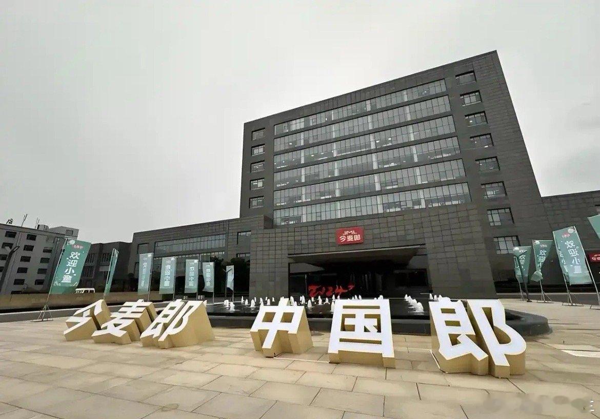 方便面四巨头之今麦郎今麦郎2024年营收164.8亿元；今麦郎2023年营收16