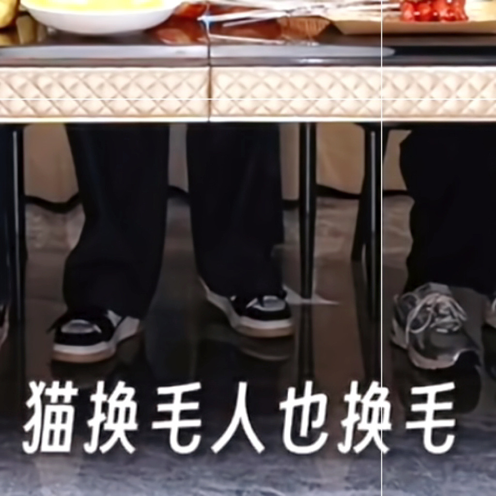 小浩翔把人到换季总掉头发类比成人像猫一样到换毛季了（萌。