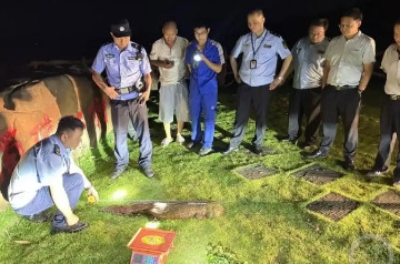 “活久见！”6月10日夜间，重庆男子在江边散步时，发现不远处有一团黑漆漆的东西在