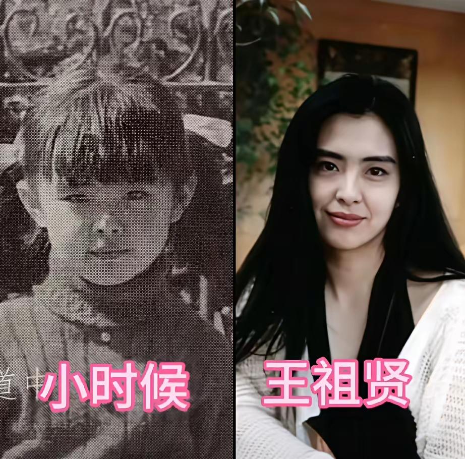 小时候便是美人胚子长大了定然差不了王祖贤小时候极为可爱，一看就是乖孩子要说