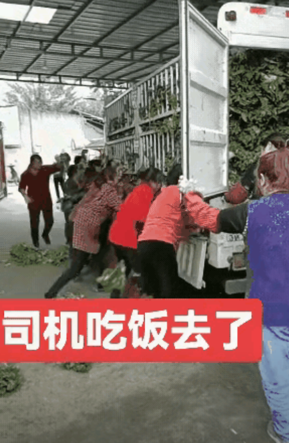 安徽宿州村民哄抢种植户土豆的恶劣后果出现了，当时，有人替哄抢土豆的参与者辩解，说