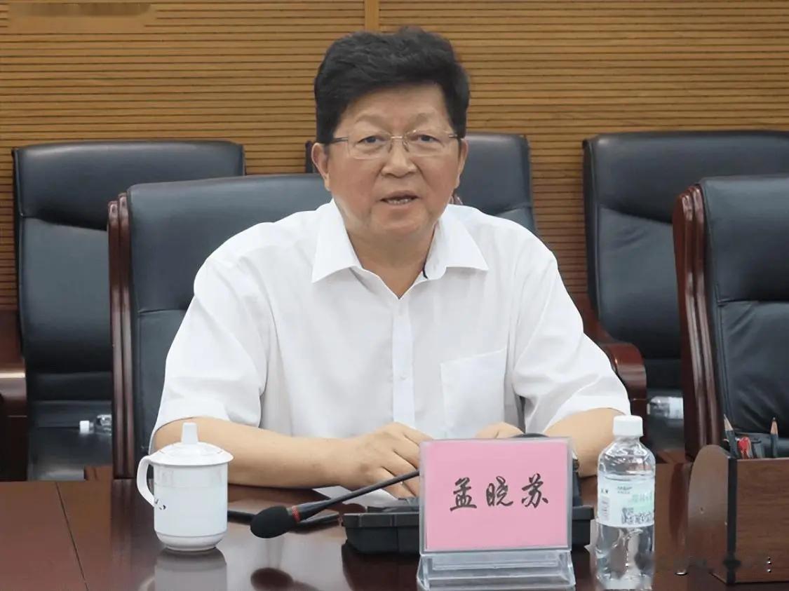 孟晓苏是中国当代的“汉奸”！孟晓苏是中国房地产行业的重要推动者和评论者，还被