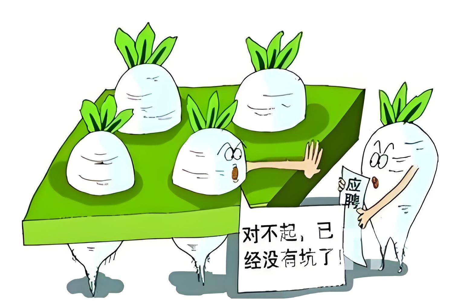 什么是公务员