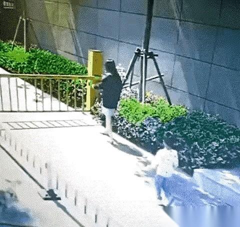 铁门嗡嗡地往上升，一个小男孩的脚，却慢慢离了地。他脖子死死卡在栅栏缝里，整个身