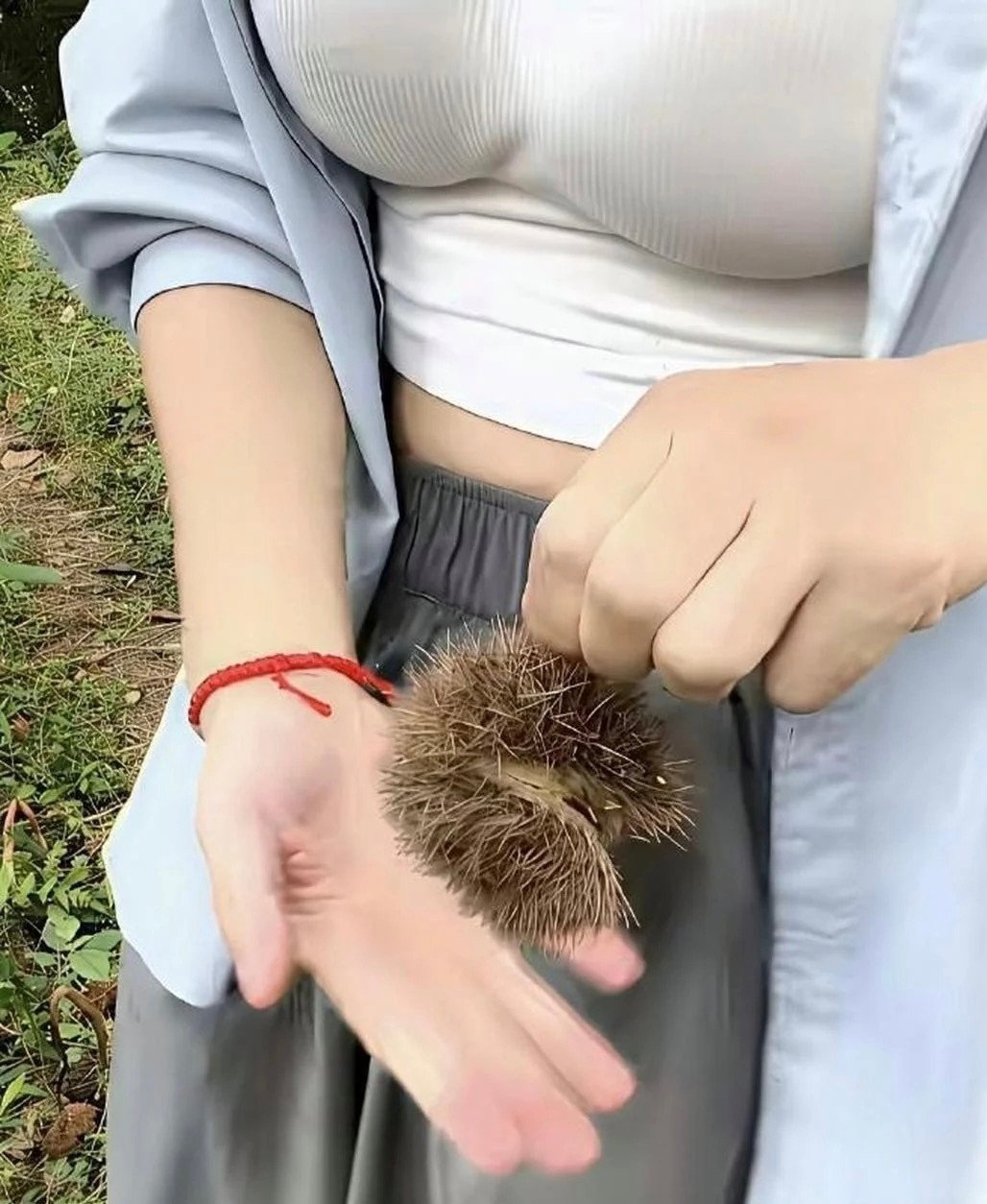 在山上捡到的，有人吃过这玩意吗