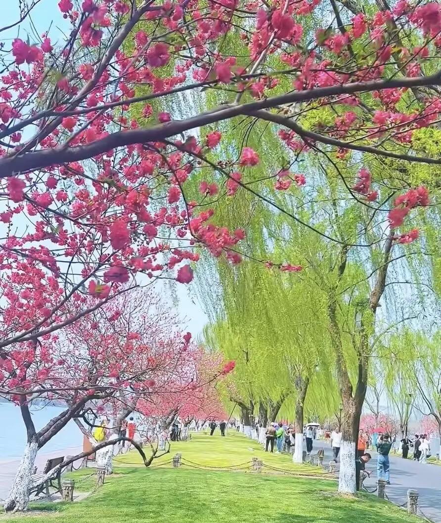 我上大学就知道我必须尽早把自己嫁出去。因为原生家庭穷。长的一般，年龄小就是我最大