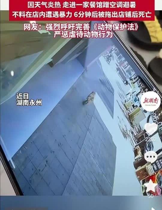 湖南永州，一女子养了一条金毛犬，去外面洗车忘锁家门，金毛犬偷溜出门找凉快，钻进了