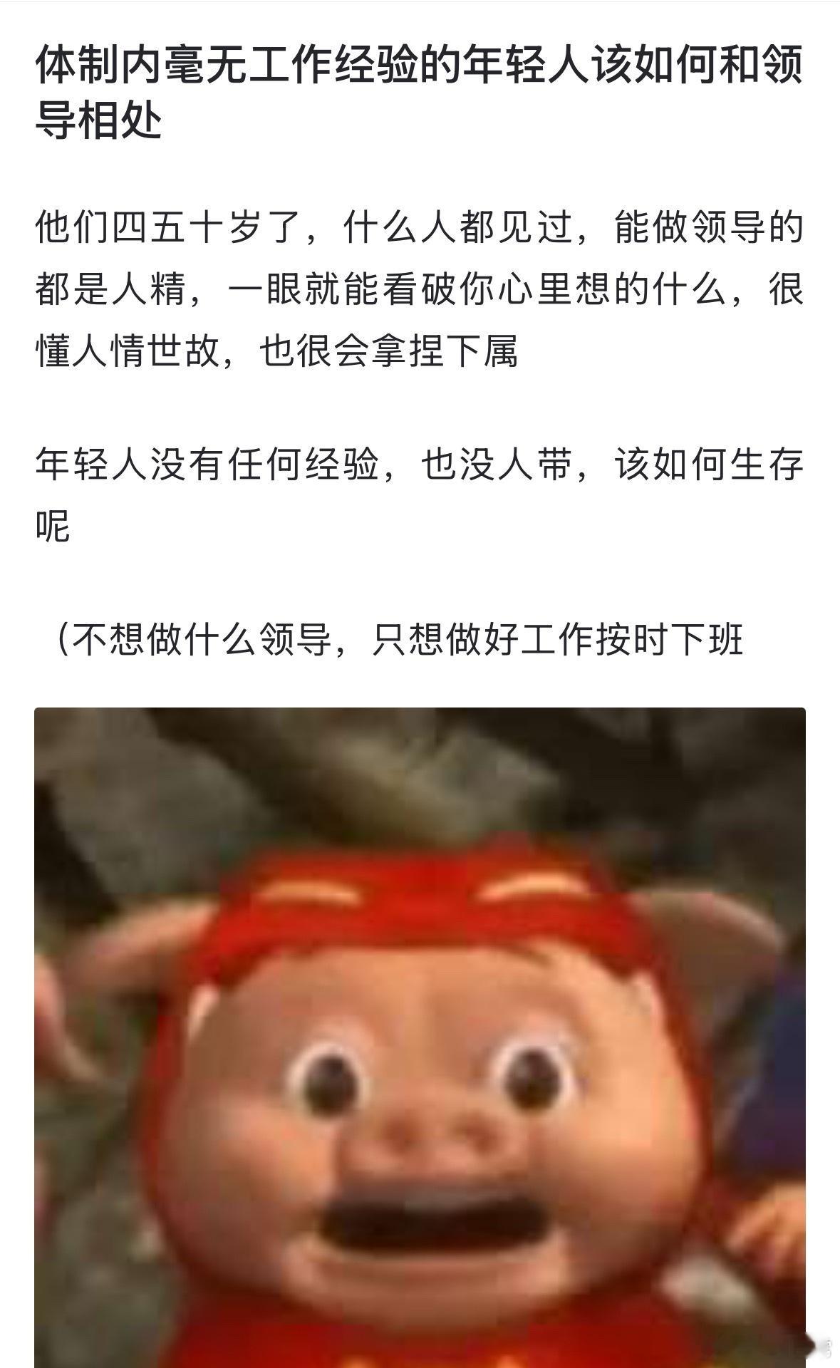 网友求助:体制内毫无工作经验的年轻人该如何和领导相处？​​​