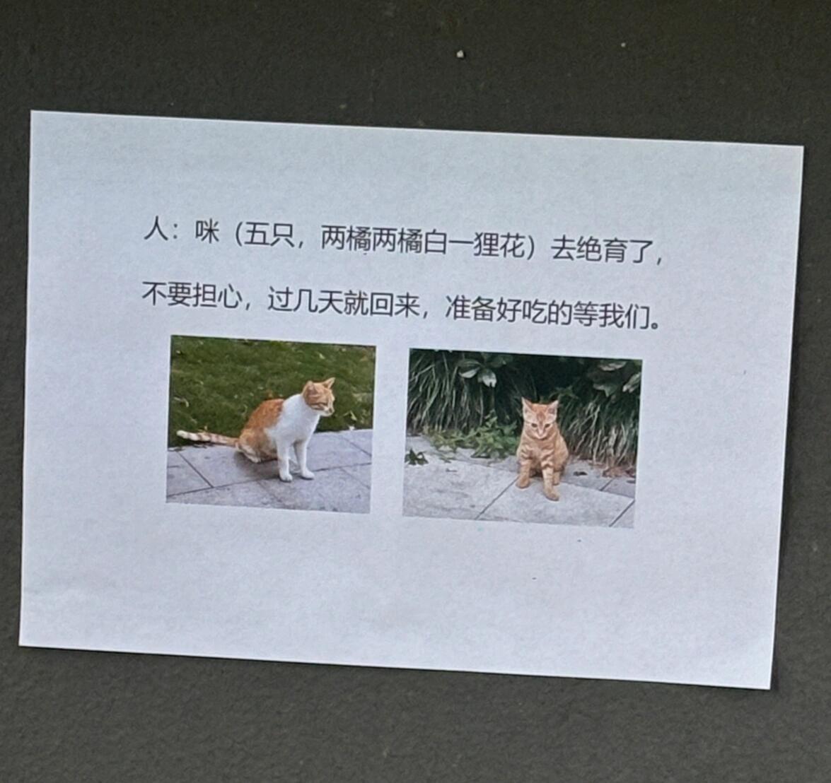 当我日常下班准备去招猫逗狗的时候看到这个​​​