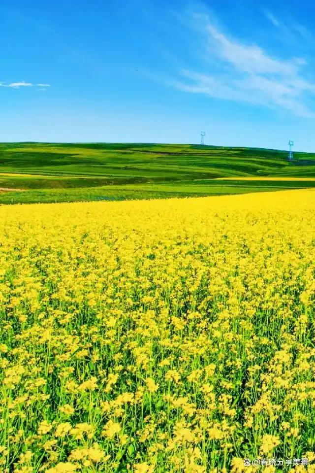 人这一辈子，最委屈的事，莫过于你拼尽全力扛下所有难处，别人却站在自己的立场上，轻