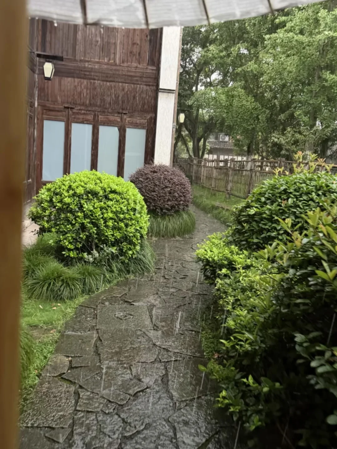 我悟了，下雨天的江南古镇！