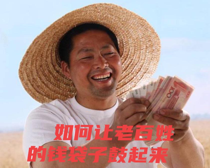 好消息，如何让你我的钱袋子鼓起来！中央经济工作会议聚焦城乡居民增收计划，锚定